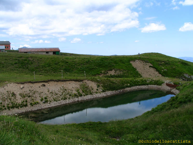  Image name: 32-corno alle scale.jpg 
 width: 800 pixel 
 height: 600 pixel 
 Size: 74709 bytes 
 Click to enlarge 